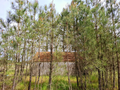 -33064523_wm-bdecee4466-4dcaa63987.webp