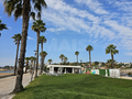 -33064538_wm-b6747ab194-4dcaa63987.webp