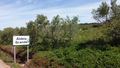 -33064540_wm-908580ec2f-4dcaa63987.webp