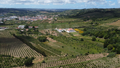 -33064545_wm-70789f3f76-4dcaa63987.webp