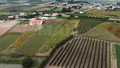 -33064546_wm-70889a7ed2-4dcaa63987.webp