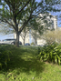 -33064553_wm-ebc9893b25-4dcaa63987.webp