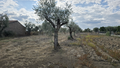 -33064558_wm-784017d430-4dcaa63987.webp