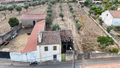 -33064558_wm-8a4807943c-4dcaa63987.webp