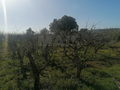 -33064560_wm-f83e7b07da-4dcaa63987.webp