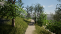 -33064640_wm-a307301a08-4dcaa63987.webp