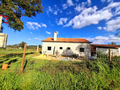-33064671_wm-24489a3011-4dcaa63987.webp