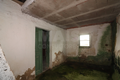 -33064683_wm-41b14b412b-4dcaa63987.webp