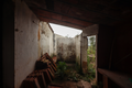 -33064683_wm-7ff3a43d29-4dcaa63987.webp