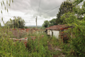 -33064683_wm-8115efda08-4dcaa63987.webp