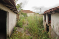 -33064683_wm-98aefba594-4dcaa63987.webp