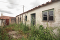 -33064683_wm-c524f1f300-4dcaa63987.webp