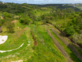-33064712_wm-72daa71e12-4dcaa63987.webp