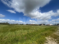 -33064715_wm-5e687b5d64-4dcaa63987.webp