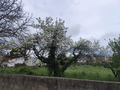 -33064754_wm-0db7c82d3f-4dcaa63987.webp