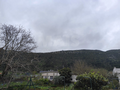 -33064754_wm-8d5d009652-4dcaa63987.webp
