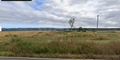-33064776_wm-3ff0c67035-4dcaa63987.webp