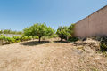 -33064832_wm-15e30f6373-4dcaa63987.webp