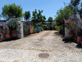 -33064866_1920x1440_43.webp