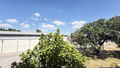 -33064973_wm-3513e474b2-4dcaa63987.webp