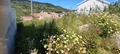 -33064983_1920x862_209.webp