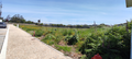 -33065039_wm-f3382a873d-4dcaa63987.webp