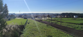 -33065043_wm-a559d480ce-4dcaa63987.webp