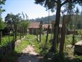 Quinta para venda Avintes Vila Nova de Gaia - árvores de fruto, poço, água, tanque