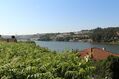 À venda Quinta Avintes Vila Nova de Gaia - água, poço