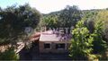 -211463969_IDb7588101-0000-0500-0000-000013ab1eab.JPG