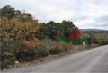 -196746019_IDd19f6700-0000-0500-0000-000009f93348.JPG