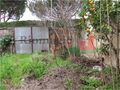 -198405147_IDc5088600-0000-0500-0000-0000047cf028.JPG