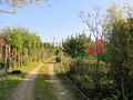 -203941971_ID5df9f400-0000-0500-0000-0000097974cd.jpg