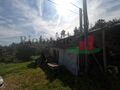-205064308_ID25e50601-0000-0500-0000-000011961279.jpg