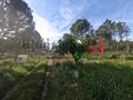 -205064308_ID25e50601-0000-0500-0000-000011961283.jpg
