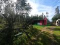 -205064308_ID25e50601-0000-0500-0000-000011961288.jpg