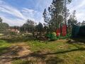 -205064308_ID25e50601-0000-0500-0000-00001196128b.jpg