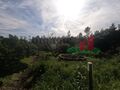 -205064308_ID25e50601-0000-0500-0000-000011961291.jpg