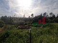 -205064308_ID25e50601-0000-0500-0000-000011961292.jpg