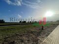 -208825588_ID6f5f4801-0000-0500-0000-00001445da9f.jpg