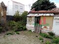 -208969544_IDf8fd4901-0000-0500-0000-00000ebe5c6e.jpg