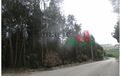 -209145117_IDaad84e01-0000-0500-0000-00000f0866fa.jpg