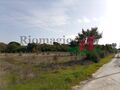 -209331021_ID21875201-0000-0500-0000-00000f51d9d6.jpg