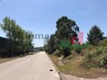 -209602219_IDd5575901-0000-0500-0000-00000fc36034.jpg