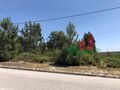 -209602219_IDd5575901-0000-0500-0000-00000fc3603a.jpg