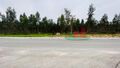 -209682495_ID90215b01-0000-0500-0000-000010cd18d5.jpg