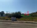 -209765321_IDf4fd5c01-0000-0500-0000-000010186d6c.jpg