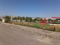 -209765328_ID61fe5c01-0000-0500-0000-000010186ede.jpg