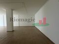 -210190433_ID4bd66601-0000-0500-0000-000012e83937.jpg