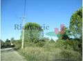 -210589108_ID48836f01-0000-0500-0000-000011b84aed.jpg